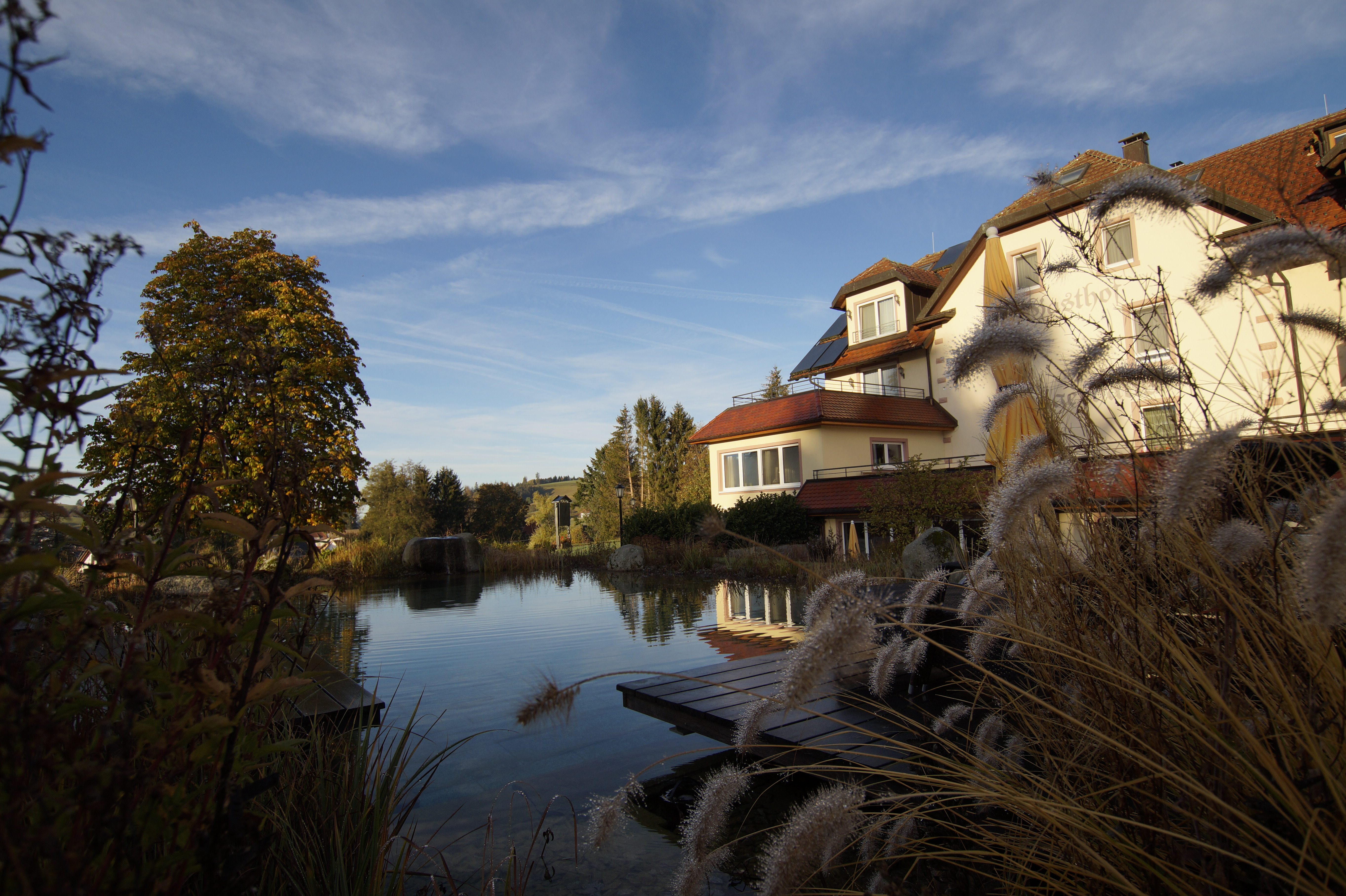 Naturschwimmteich in Abendstimmung