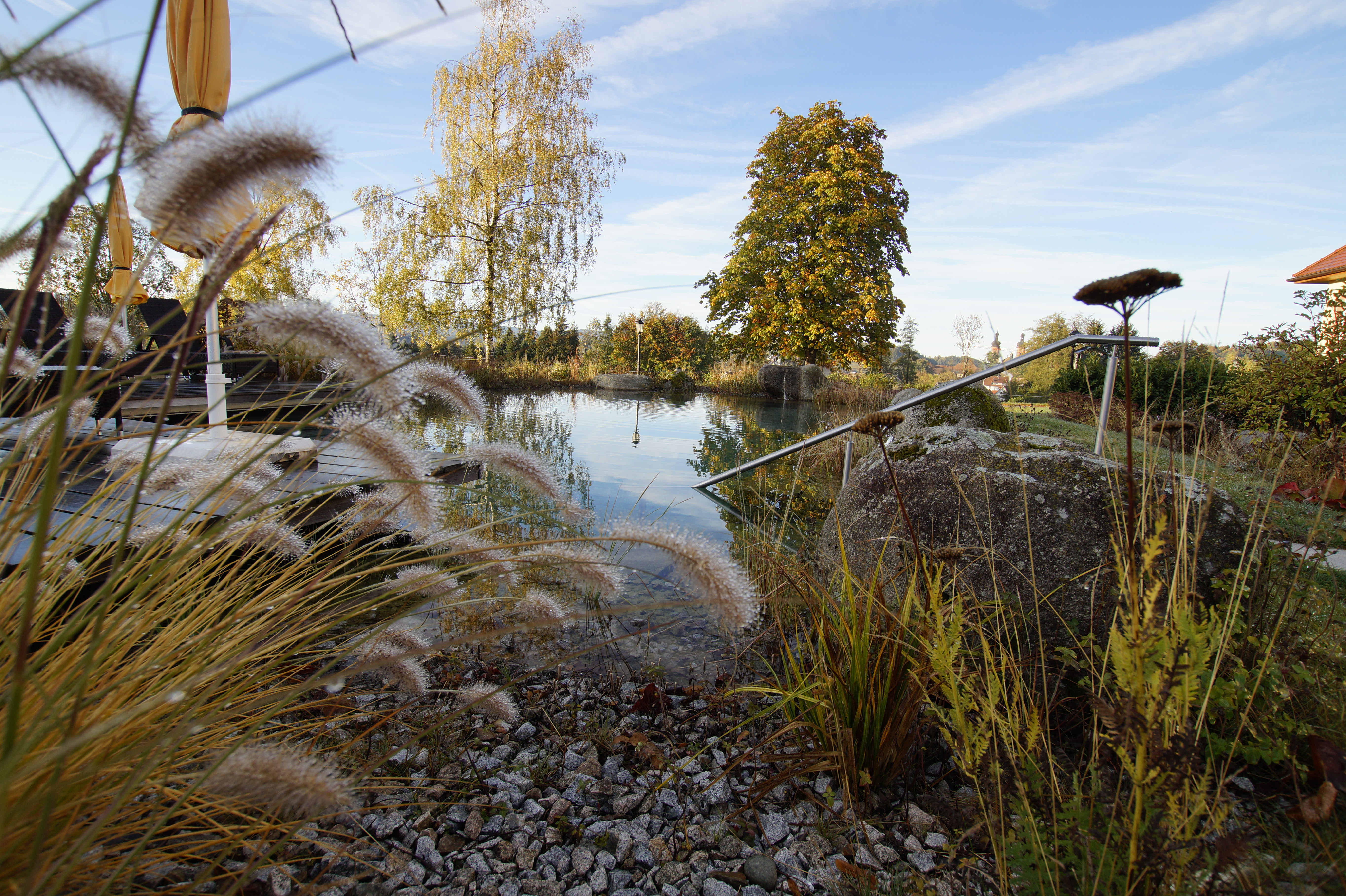 Blick auf unserern Naturschwimmteich im Sommer mit Sonnendecks und Panoramablick