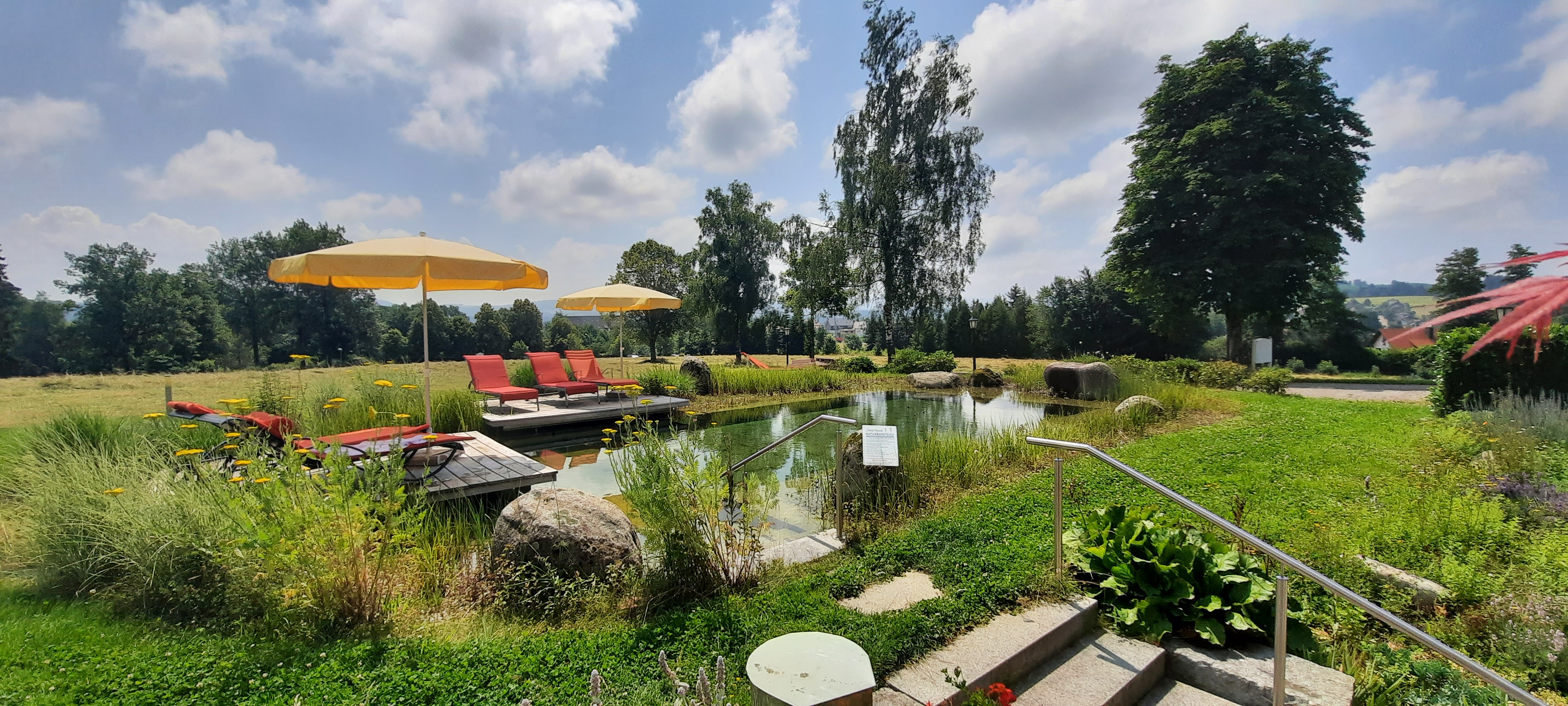 Blick auf unserern Naturschwimmteich im Sommer mit Sonnendecks und Panoramablick