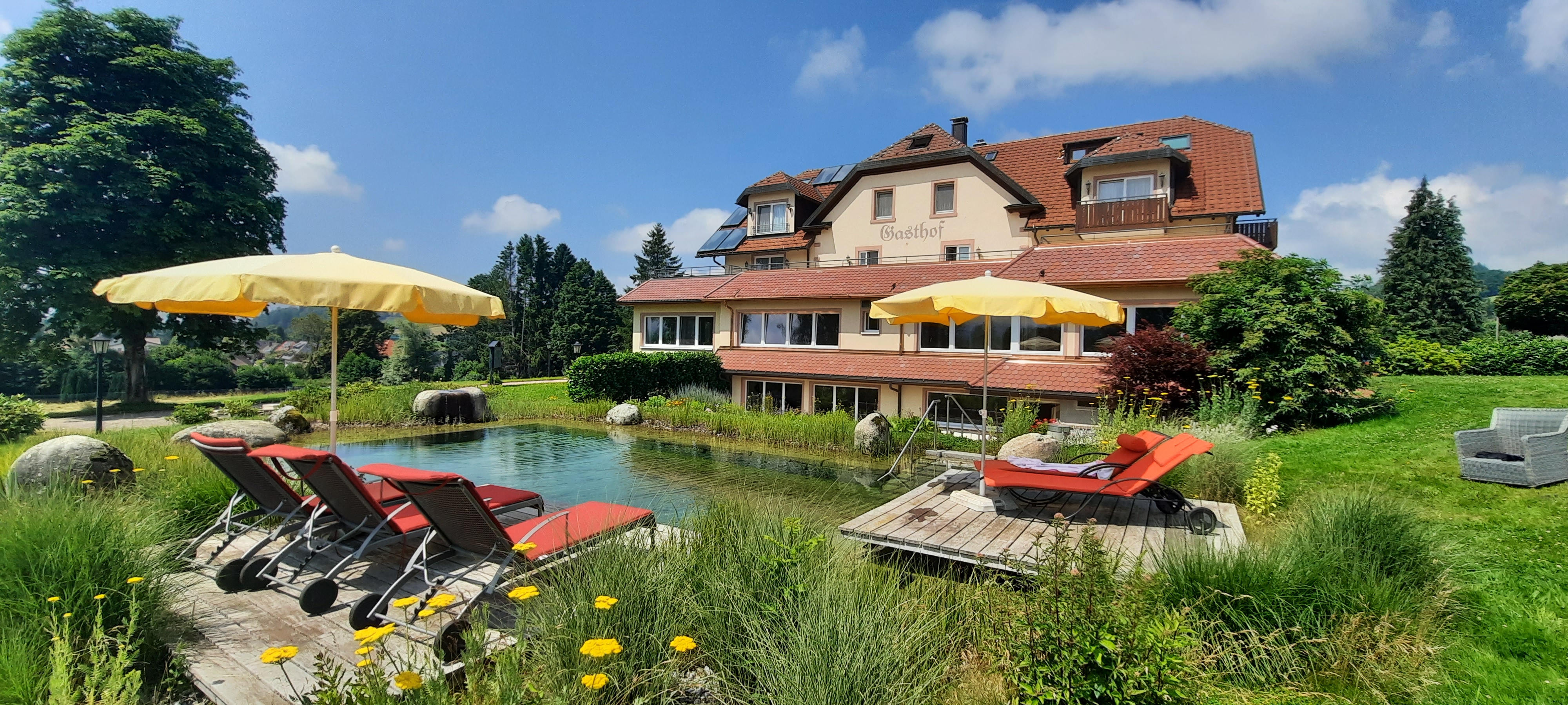 Blick auf unserern Naturschwimmteich im Sommer mit Sonnendecks und Panoramablick