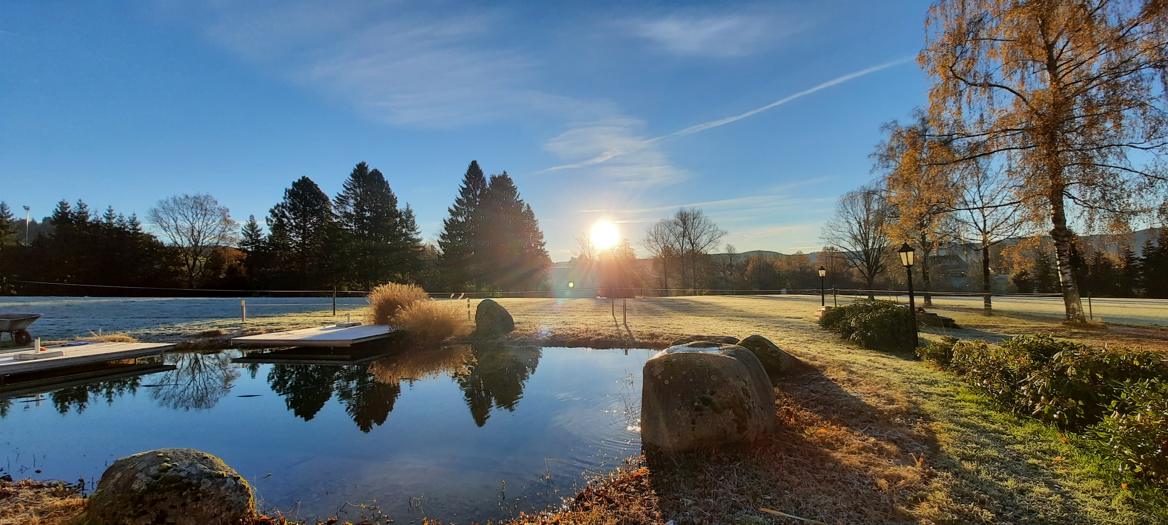 Blick auf unserern Naturschwimmteich im Sommer mit Sonnendecks und Panoramablick